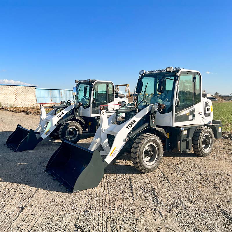 Small Wheel Loader