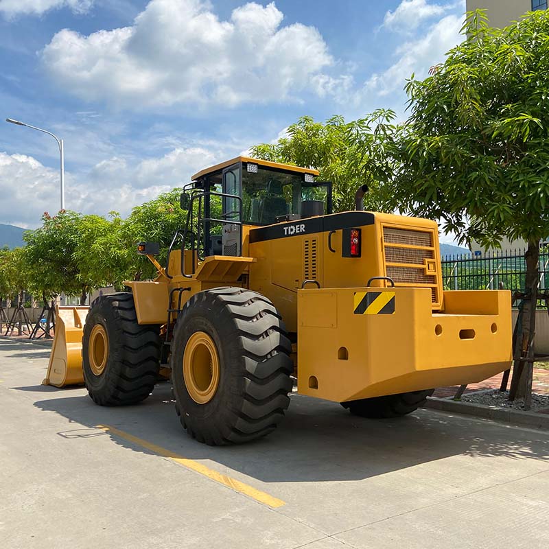 Big Wheel Loader