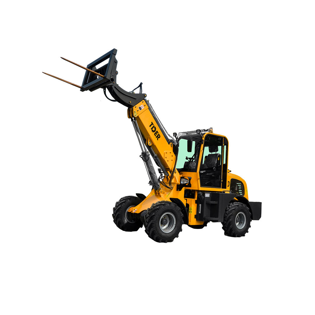 Telescopic  Loader