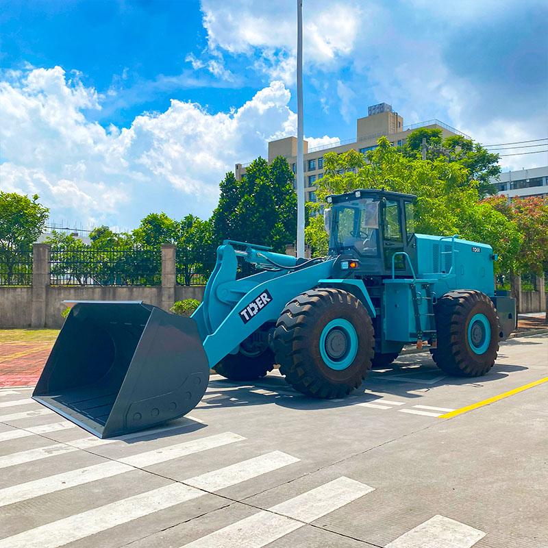 Electric Wheel Loaders
